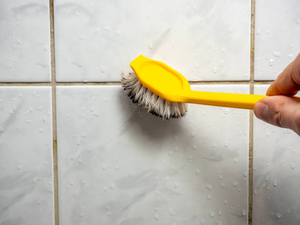 Best Home Mold Removal  in West Sayville, NY